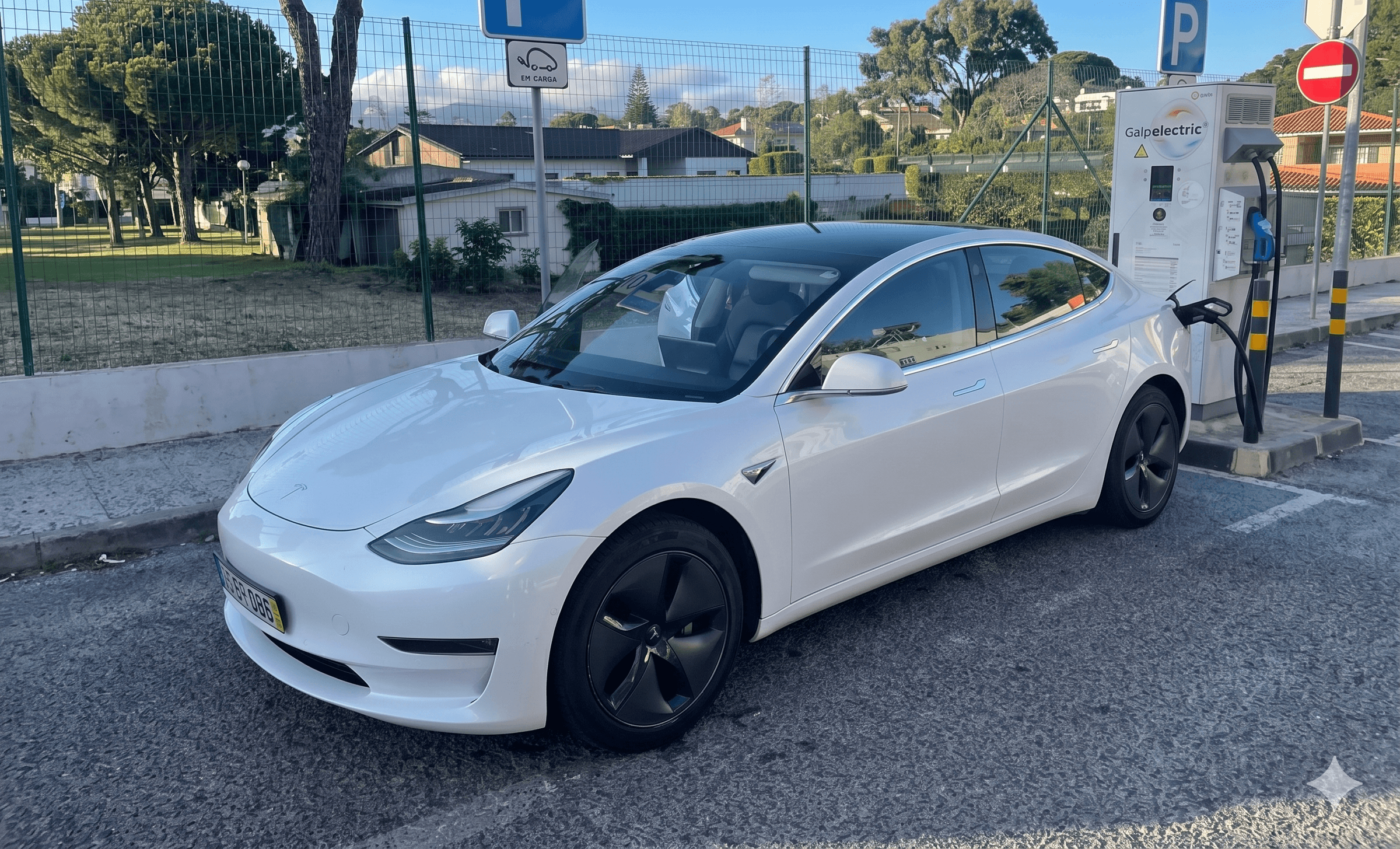 Tesla premium transfer